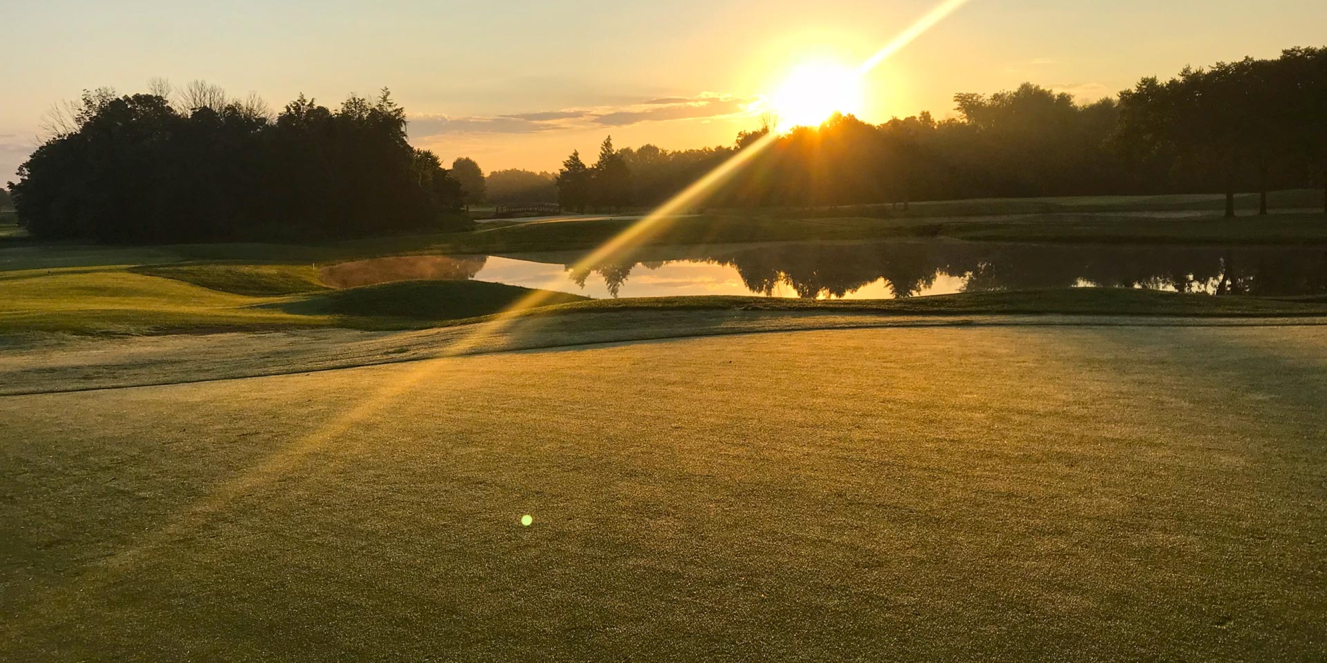 Image of golf ball on tee on grass.